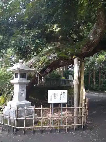 莫越山神社の庭園