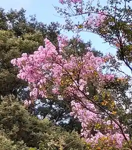 長命寺の自然(2021年08月25日(水) 17時33分54秒投稿)