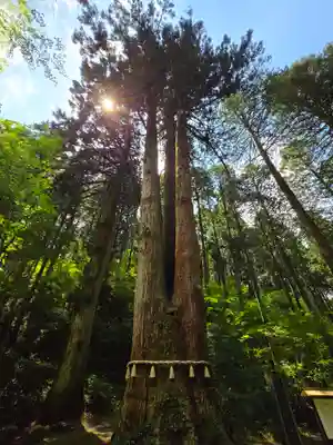 御岩神社(茨城県)
