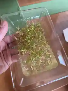 大鏑神社(福島県)(2023年05月20日(土) 12時48分47秒投稿)