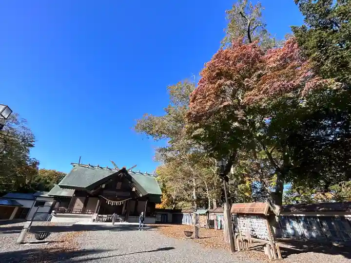 千歳神社の本殿・本堂