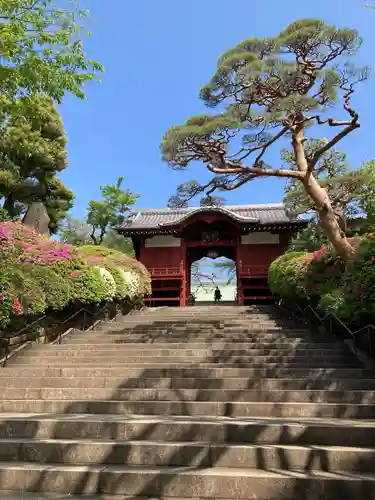 護国寺(東京都)