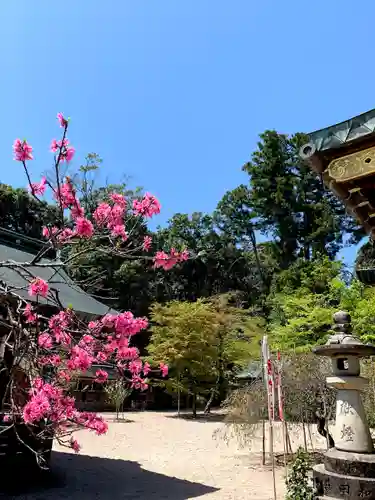 常宮神社のその他建物