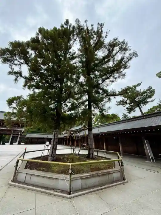 寒川神社の{uncategorized: "未分類", other: "その他", undefined: "問題あり", building: "その他建物", grave: "お墓", sacred_gate: "鳥居", guardian: "狛犬", statue: "像", buddha: "仏像", history: "歴史", nature: "自然", garden: "庭園", animal: "動物", pagoda: "塔", temizu: "手水舎", mountain_gate: "山門・神門", sanctuary: "本殿・本堂", subordinate: "末社・摂社", art: "芸術", scenery: "景色", jizo: "地蔵", ema: "絵馬", goshuin: "御朱印", omikuji: "おみくじ", items: "授与品その他", amulet: "お守り", goshuincho: "御朱印帳", eats: "食事", festival: "お祭り", votive_dance: "神楽", shichigosan: "七五三参", wedding: "結婚式", experience: "体験その他", initially: "初詣", around: "周辺", anti_infection: "感染症対策"}