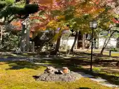 長壽寺（長寿寺）の建物その他