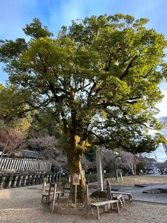 橿森神社の{uncategorized: "未分類", other: "その他", undefined: "問題あり", building: "その他建物", grave: "お墓", sacred_gate: "鳥居", guardian: "狛犬", statue: "像", buddha: "仏像", history: "歴史", nature: "自然", garden: "庭園", animal: "動物", pagoda: "塔", temizu: "手水舎", mountain_gate: "山門・神門", sanctuary: "本殿・本堂", subordinate: "末社・摂社", art: "芸術", scenery: "景色", jizo: "地蔵", ema: "絵馬", goshuin: "御朱印", omikuji: "おみくじ", items: "授与品その他", amulet: "お守り", goshuincho: "御朱印帳", eats: "食事", festival: "お祭り", votive_dance: "神楽", shichigosan: "七五三参", wedding: "結婚式", experience: "体験その他", initially: "初詣", around: "周辺", anti_infection: "感染症対策"}