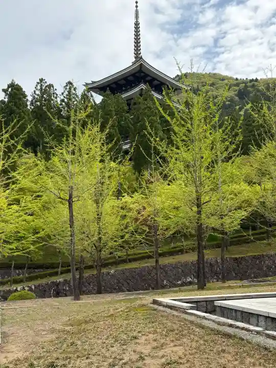 清大寺(越前大仏)の{uncategorized: "未分類", other: "その他", undefined: "問題あり", building: "その他建物", grave: "お墓", sacred_gate: "鳥居", guardian: "狛犬", statue: "像", buddha: "仏像", history: "歴史", nature: "自然", garden: "庭園", animal: "動物", pagoda: "塔", temizu: "手水舎", mountain_gate: "山門・神門", sanctuary: "本殿・本堂", subordinate: "末社・摂社", art: "芸術", scenery: "景色", jizo: "地蔵", ema: "絵馬", goshuin: "御朱印", omikuji: "おみくじ", items: "授与品その他", amulet: "お守り", goshuincho: "御朱印帳", eats: "食事", festival: "お祭り", votive_dance: "神楽", shichigosan: "七五三参", wedding: "結婚式", experience: "体験その他", initially: "初詣", around: "周辺", anti_infection: "感染症対策"}