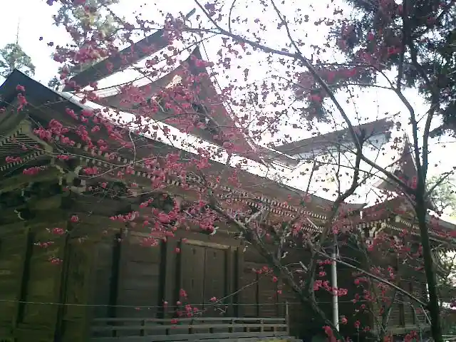 御霊神社の本殿・本堂