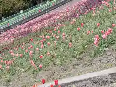 阿蘇神社の自然