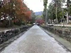 土佐神社(高知県)