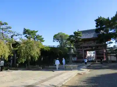 葛井寺の山門・神門