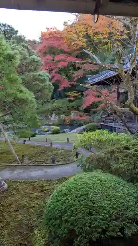 青蓮院門跡(京都府)