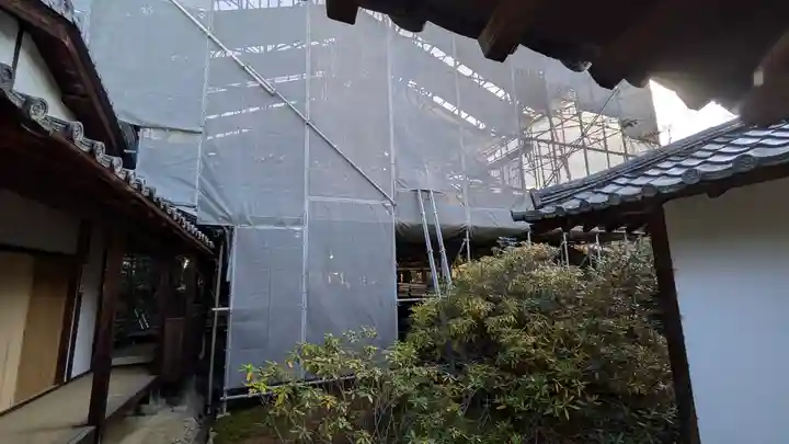 隨心院(随心院)(京都府)