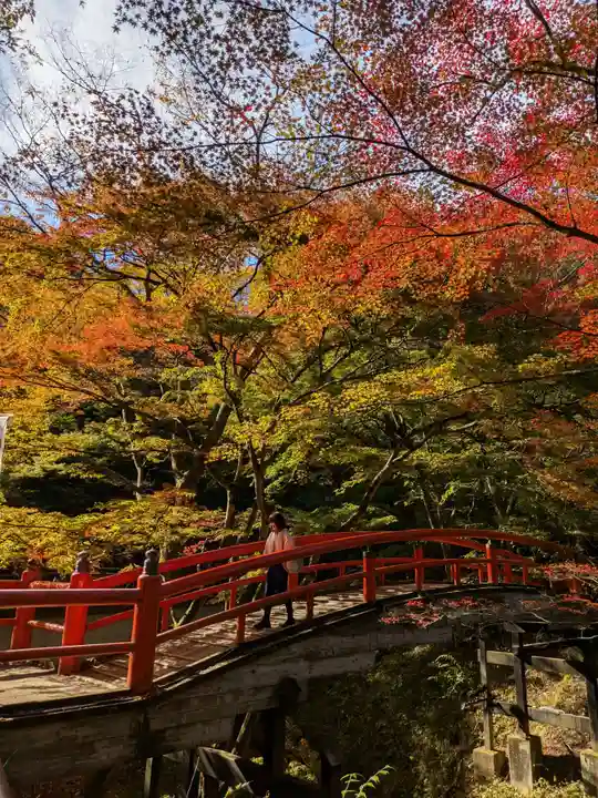 伊香保神社の自然