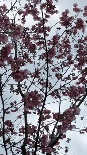 熊野若王子神社(京都府)