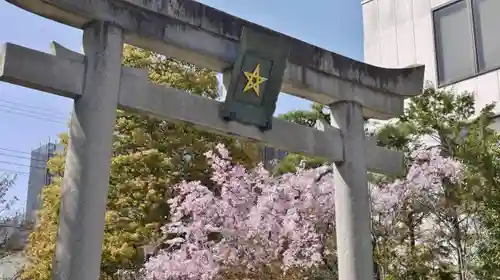 晴明神社の鳥居