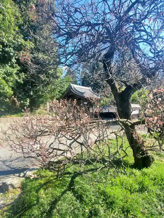 興聖寺(栃木県)