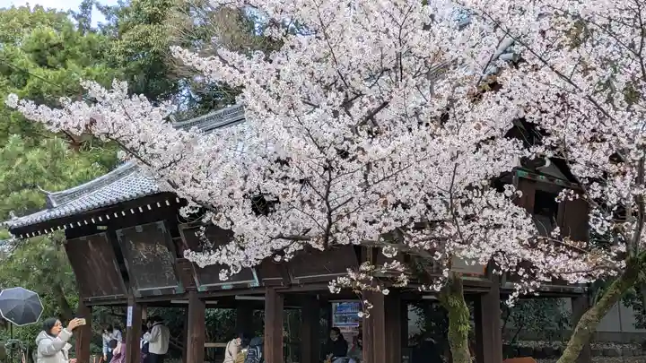 御香宮神社の自然