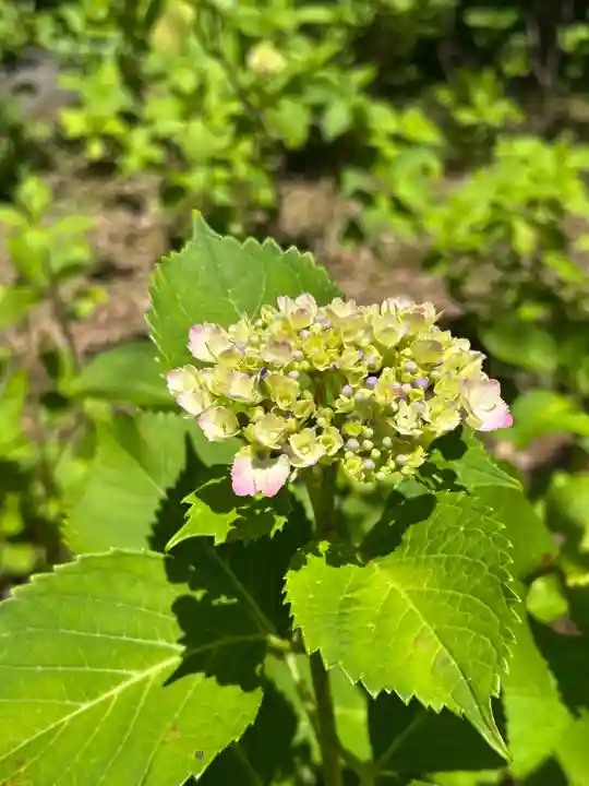 智積院(京都府)