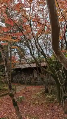 蓮華寺（洛北蓮華寺）(京都府)