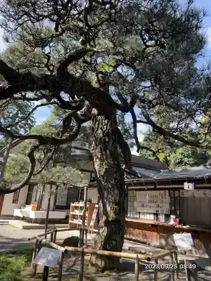 甲斐國一宮 浅間神社(山梨県)