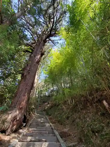 日枝神社(福島県)