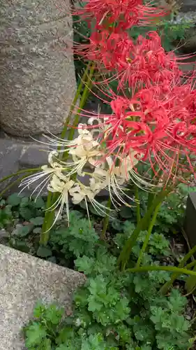 長宝寺(大阪府)