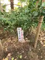 粟津神社の自然