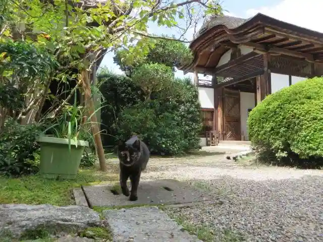 長岳寺(奈良県)