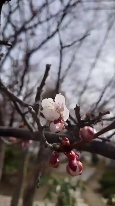相馬神社(北海道)