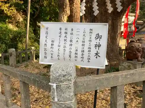 海南神社のその他建物
