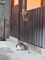 住吉神社(京都府)