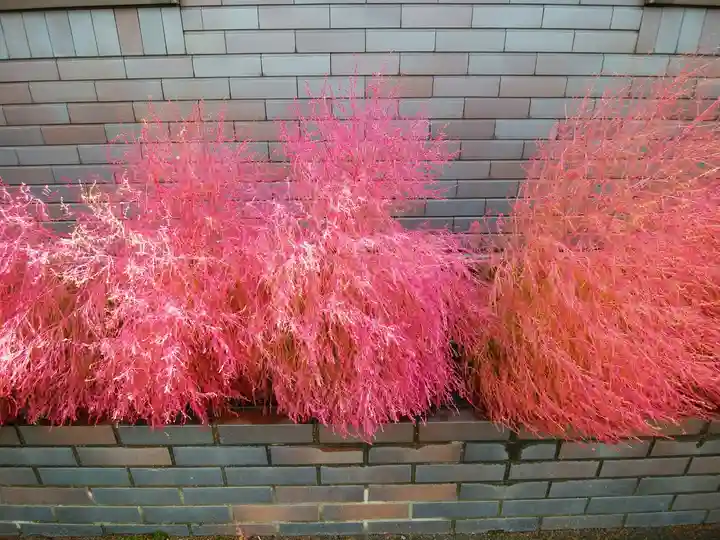 当別神社の自然