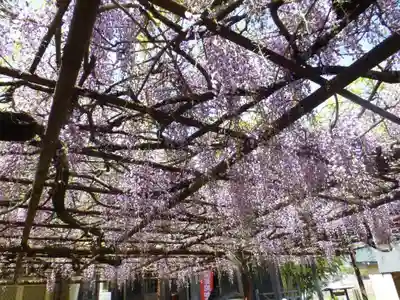 定禅寺(福岡県)