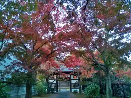 正樂寺(宮城県)