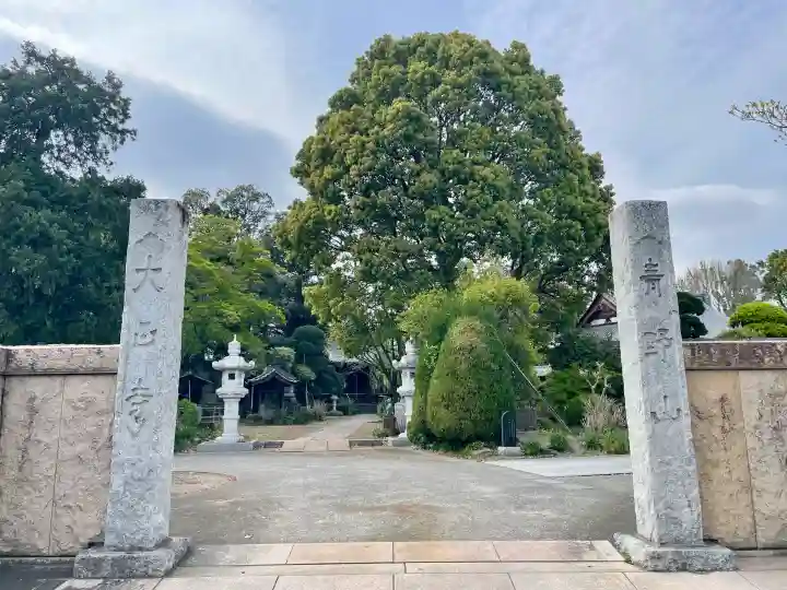 大正寺の{uncategorized: "未分類", other: "その他", undefined: "問題あり", building: "その他建物", grave: "お墓", sacred_gate: "鳥居", guardian: "狛犬", statue: "像", buddha: "仏像", history: "歴史", nature: "自然", garden: "庭園", animal: "動物", pagoda: "塔", temizu: "手水舎", mountain_gate: "山門・神門", sanctuary: "本殿・本堂", subordinate: "末社・摂社", art: "芸術", scenery: "景色", jizo: "地蔵", ema: "絵馬", goshuin: "御朱印", omikuji: "おみくじ", items: "授与品その他", amulet: "お守り", goshuincho: "御朱印帳", eats: "食事", festival: "お祭り", votive_dance: "神楽", shichigosan: "七五三参", wedding: "結婚式", experience: "体験その他", initially: "初詣", around: "周辺", anti_infection: "感染症対策"}