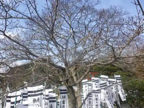 旗上弁財天社の自然