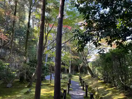 桂春院(京都府)