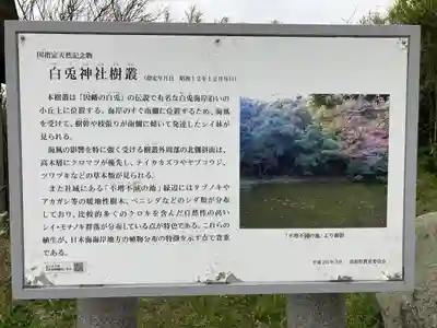 白兎神社の歴史