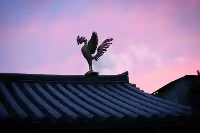 温泉山 安楽寺(四国霊場第六番札所)の狛犬