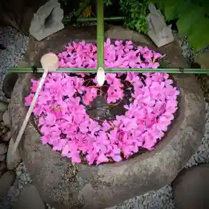 東京羽田 穴守稲荷神社の手水舎(2022年04月28日(木) 10時50分25秒投稿)