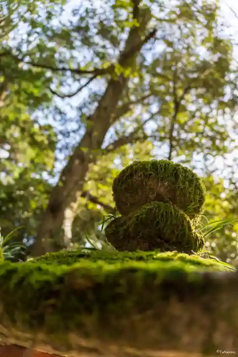 春日大社(奈良県)