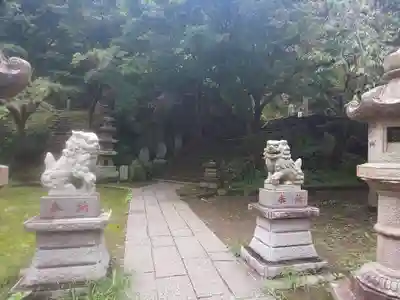 建長寺 半僧坊の狛犬