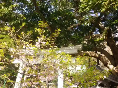 御霊神社の鳥居