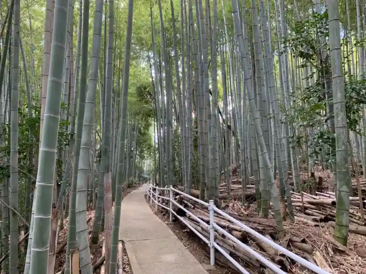静火神社の自然