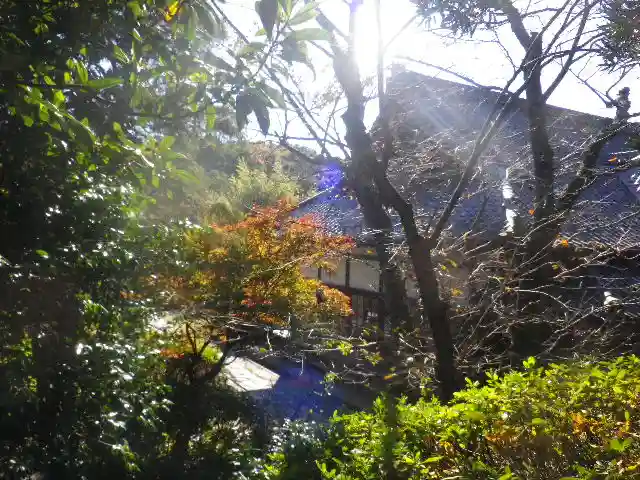 浄光明寺の自然