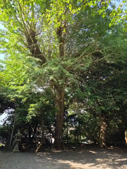 十二所神社の自然
