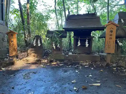 川越氷川神社(埼玉県)