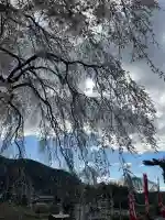 林陽寺の{uncategorized: "未分類", other: "その他", undefined: "問題あり", building: "その他建物", grave: "お墓", sacred_gate: "鳥居", guardian: "狛犬", statue: "像", buddha: "仏像", history: "歴史", nature: "自然", garden: "庭園", animal: "動物", pagoda: "塔", temizu: "手水舎", mountain_gate: "山門・神門", sanctuary: "本殿・本堂", subordinate: "末社・摂社", art: "芸術", scenery: "景色", jizo: "地蔵", ema: "絵馬", goshuin: "御朱印", omikuji: "おみくじ", items: "授与品その他", amulet: "お守り", goshuincho: "御朱印帳", eats: "食事", festival: "お祭り", votive_dance: "神楽", shichigosan: "七五三参", wedding: "結婚式", experience: "体験その他", initially: "初詣", around: "周辺", anti_infection: "感染症対策"}