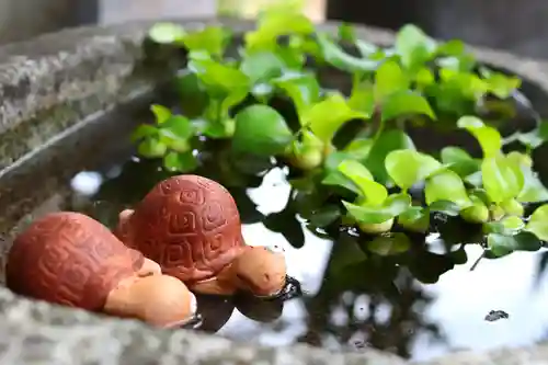 三津厳島神社の手水舎